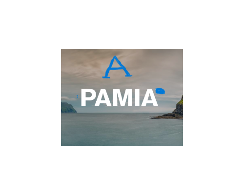 A.PAMIA KI DETAILS / A ۔ PAMIA کی تفصیل